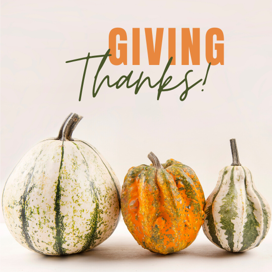 three gourds on a beige background