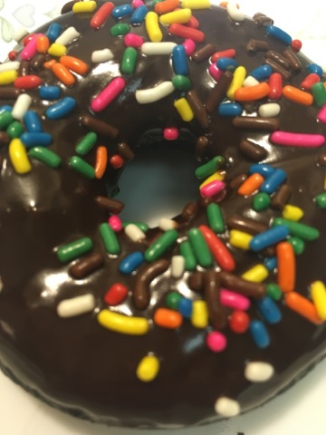 ChocolateFudgeDoughnut