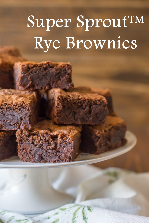 SSRyebrownies