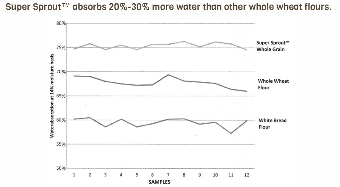 SuperSproutWaterAbsorption