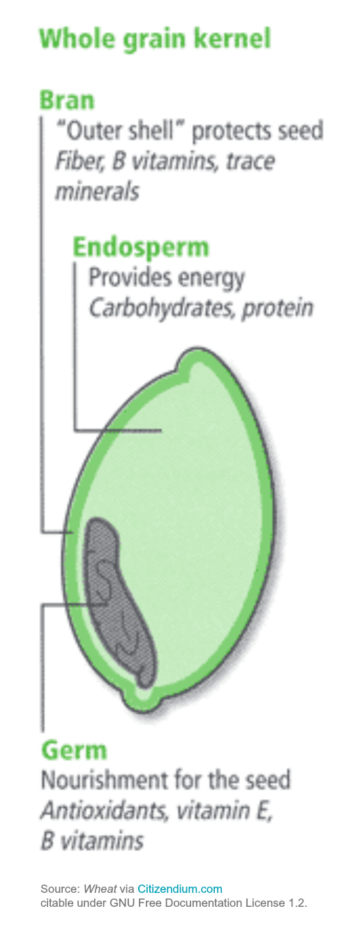 Whole-Grain-Kernel